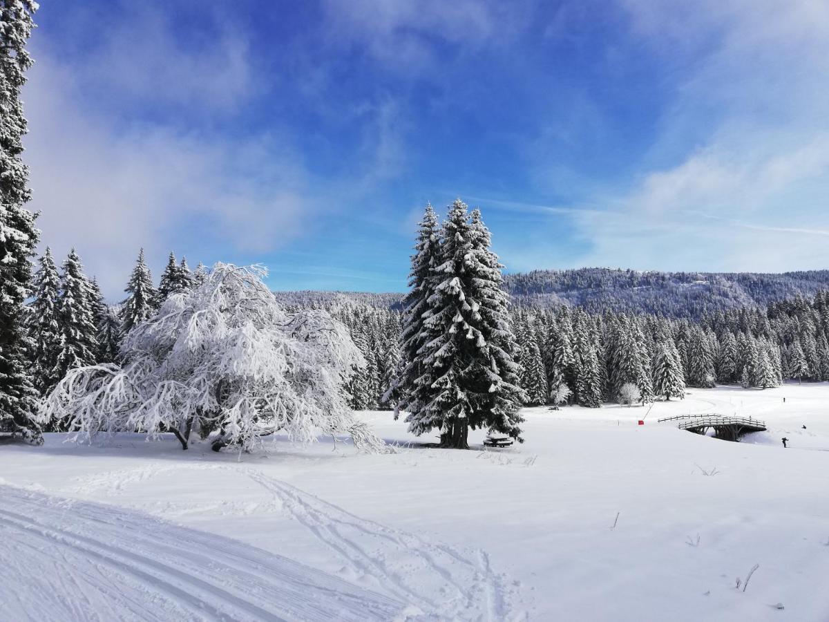 Ferme Des Deux Freres, Autrans, Vercors Eksteriør bilde