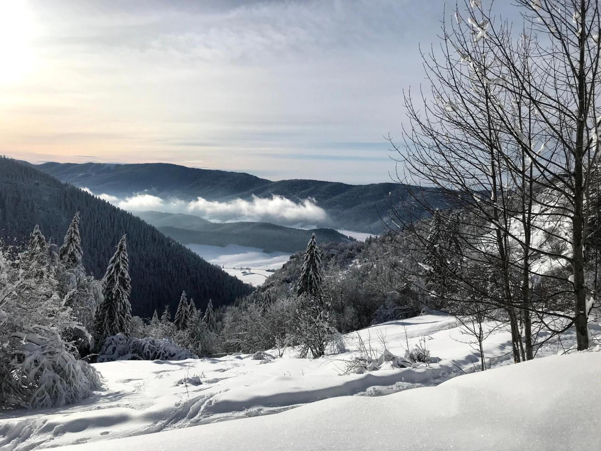 Ferme Des Deux Freres, Autrans, Vercors Eksteriør bilde